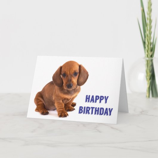 Dachshund Puppy Birthday Kaart (Voorkant)