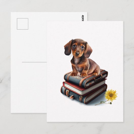 Dachshund Puppy Briefkaart (Voorkant / Achterkant)