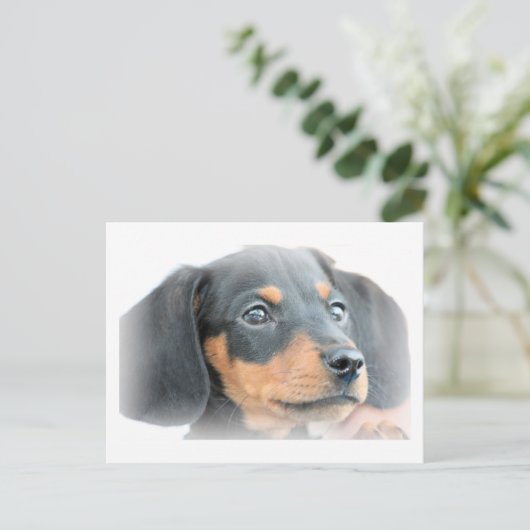 Dachshund Puppy Briefkaart (Staand voorkant)