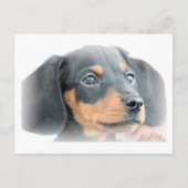Dachshund Puppy Briefkaart (Voorkant)