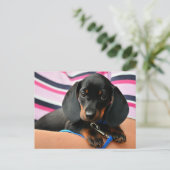Dachshund Puppy Briefkaart (Staand voorkant)