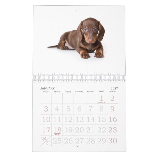 Dachshund Puppy Calendar 2011 Kalender (Jan 2027)