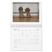 Dachshund Puppy Calendar 2011 Kalender (Feb 2027)