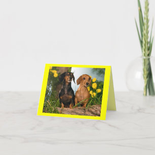 Dachshund Puppy Dog Blank Note Card Kaart