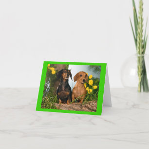 Dachshund Puppy Dog Blank Note Card Kaart