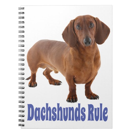 Dachshund Puppy Dog Blue Love Notitieboek (Voorkant)