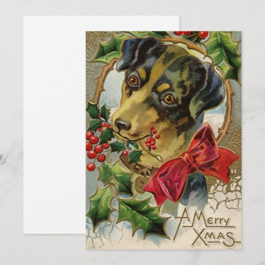 Dachshund Puppy Dog met Holly Feestdagenkaart (Voorkant / Achterkant)