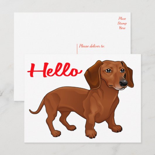 Dachshund Puppy Dog - Rood Hallo, denken aan jou Briefkaart (Voorkant / Achterkant)
