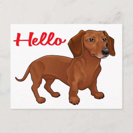 Dachshund Puppy Dog - Rood Hallo, denken aan jou Briefkaart (Voorkant)