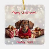 Dachshund Puppy Gepersonaliseerde Tree Ornament (Voorkant)