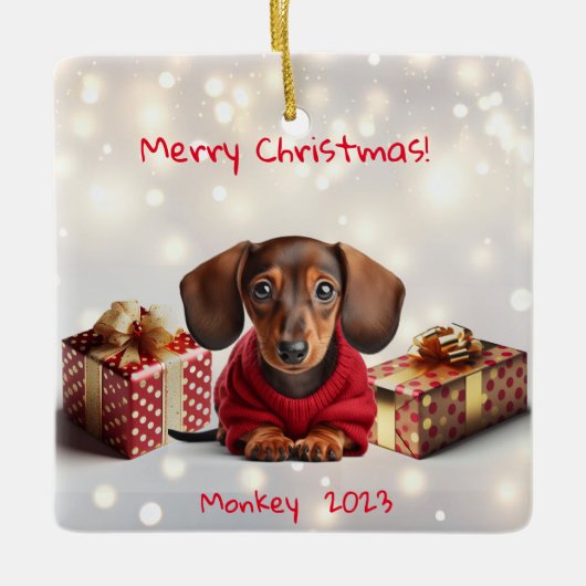 Dachshund Puppy Gepersonaliseerde Tree Ornament (Voorkant)