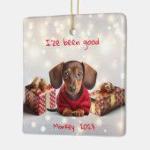 Dachshund Puppy Gepersonaliseerde Tree Ornament (Links)