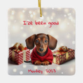 Dachshund Puppy Gepersonaliseerde Tree Ornament (Voorkant)