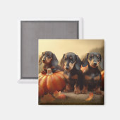 Dachshund Puppy Herfst Delight Pompoen Magneet (Voorkant / Achterkant)