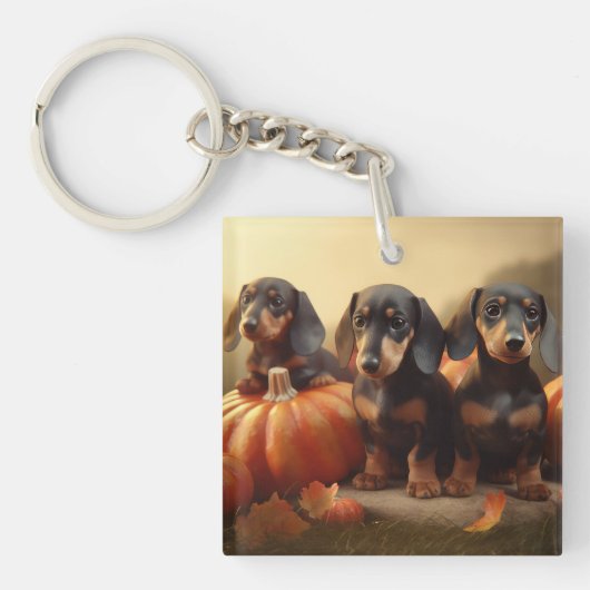 Dachshund Puppy Herfst Delight Pompoen Sleutelhanger (Voorkant)