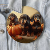 Dachshund Puppy Herfstvreugde Pompoen Ronde Button 6,0 Cm (In situ)