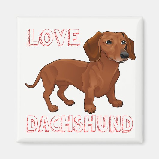 Dachshund Puppy Hond Rode Liefde Magneet (Voorkant)