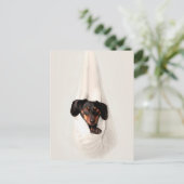Dachshund Puppy in Hammock Cute Schattige Dog Briefkaart (Staand voorkant)
