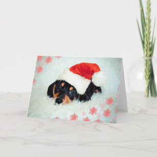 Dachshund puppy kerstkaart feestdagen kaart