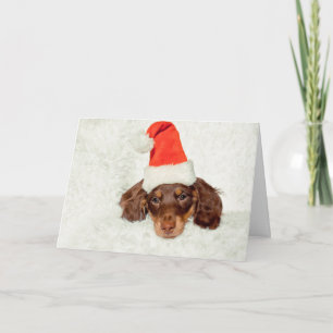Dachshund puppy kerstkaart feestdagen kaart