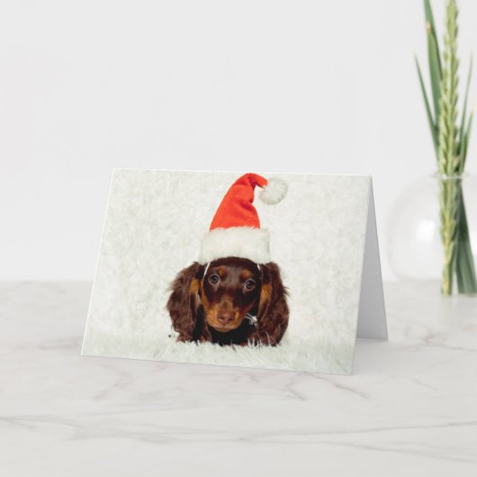 Dachshund puppy kerstkaart feestdagen kaart (Voorkant)