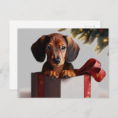 Dachshund Puppy Kerstmis Verrassing Briefkaart (Voorkant / Achterkant)