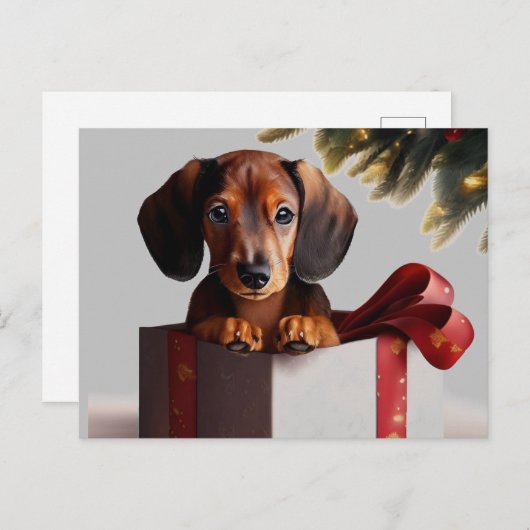 Dachshund Puppy Kerstmis Verrassing Briefkaart (Voorkant / Achterkant)