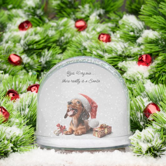 Dachshund Puppy Kerstmis Verrassing Sneeuwbol (Kerstmis)