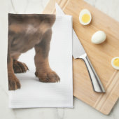 Dachshund Puppy Kitchen Towel Theedoek (Quarter Fold)