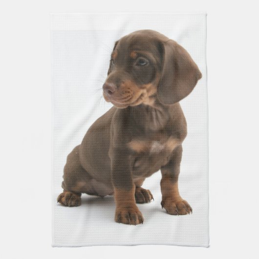Dachshund Puppy Kitchen Towel Theedoek (Verticaal)