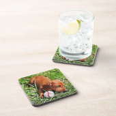 Dachshund Puppy Lazing in gras met all-mas POS Bier Onderzetter (Rechterzijde)