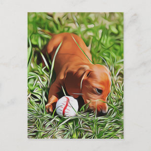 Dachshund Puppy Lazing in gras met all-mas POS Briefkaart