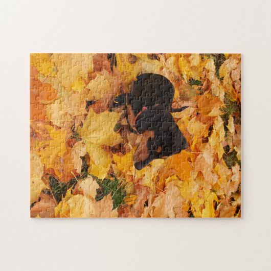Dachshund puppy legpuzzel (Horizontaal)