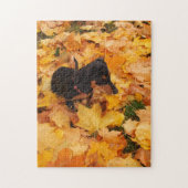 Dachshund puppy legpuzzel (Verticaal)