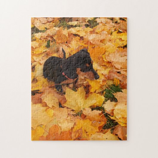 Dachshund puppy legpuzzel (Verticaal)