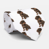 Dachshund Puppy Mannen Necktie Stropdas (Opgerold)