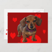 DACHSHUND Puppy met hart Briefkaart (Voorkant / Achterkant)