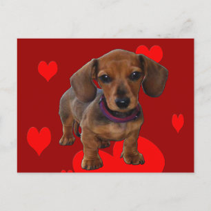 DACHSHUND Puppy met hart Briefkaart