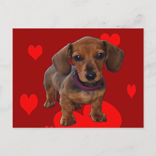 DACHSHUND Puppy met hart Briefkaart (Voorkant)