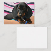 Dachshund Puppy Note Kaart - Flat Note Kaart Notitiekaartje (Voorkant / Achterkant)