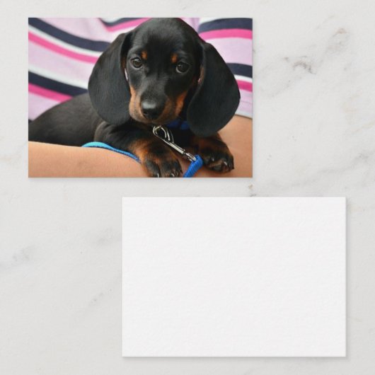 Dachshund Puppy Note Kaart - Flat Note Kaart Notitiekaartje (Voorkant / Achterkant)