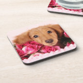Dachshund Puppy Omringd door Rozen Bier Onderzetter (Linkerzijde)