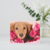 Dachshund Puppy Omringd door Rozen Briefkaart (Staand voorkant)