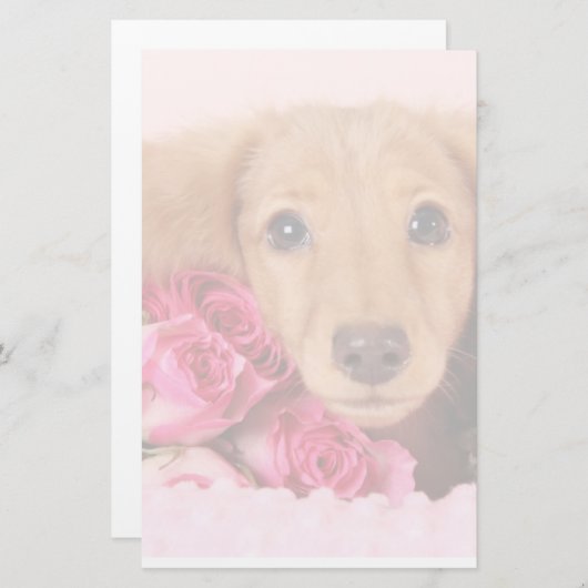 Dachshund Puppy Omringd door Rozen Briefpapier (Voorkant / Achterkant)