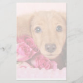 Dachshund Puppy Omringd door Rozen Briefpapier (Voorkant)