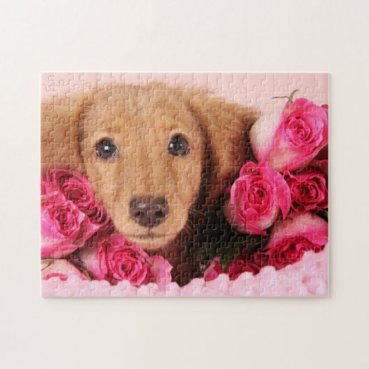 Dachshund Puppy Omringd door Rozen Legpuzzel (Horizontaal)