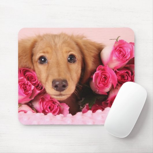 Dachshund Puppy Omringd door Rozen Muismat (Met muis)