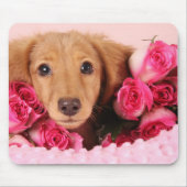 Dachshund Puppy Omringd door Rozen Muismat (Voorkant)