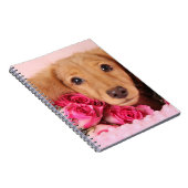 Dachshund Puppy Omringd door Rozen Notitieboek (Rechterzijde)
