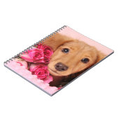 Dachshund Puppy Omringd door Rozen Notitieboek (Linkerzijde)